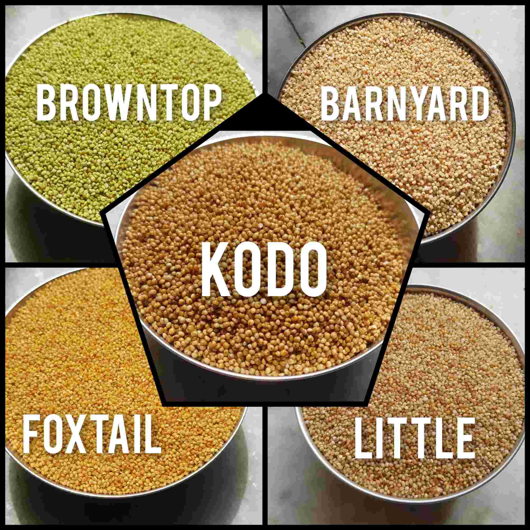 5 types of Millets 