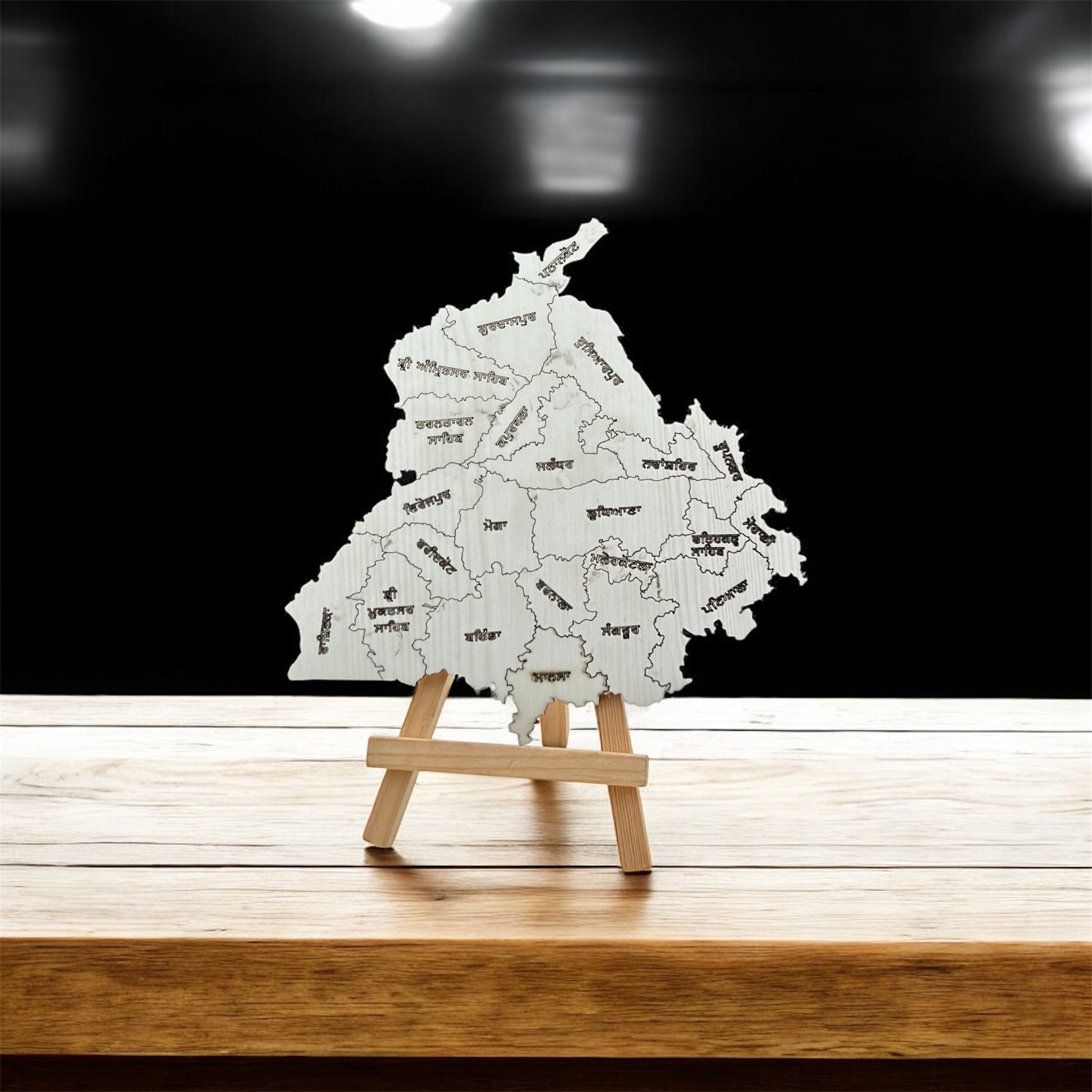 Punjab District Map 6 inch